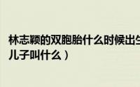 林志颖的双胞胎什么时候出生的（11月03日林志颖的双胞胎儿子叫什么）