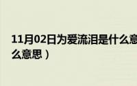 11月02日为爱流泪是什么意思啊（11月02日为爱流泪是什么意思）