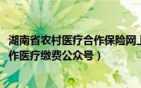 湖南省农村医疗合作保险网上缴费（11月03日湖南省农村合作医疗缴费公众号）