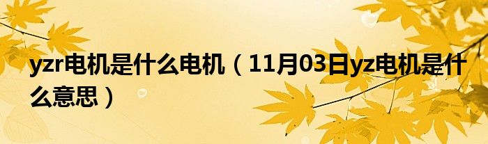 yzr电机是什么电机（11月03日yz电机是什么意思）