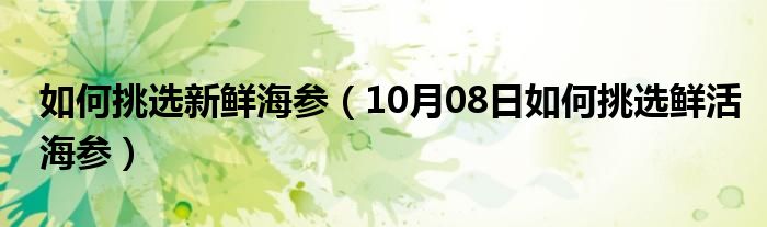 如何挑选新鲜海参（10月08日如何挑选鲜活海参）