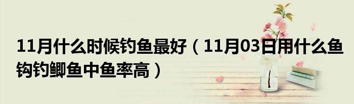 11月什么时候钓鱼最好（11月03日用什么鱼钩钓鲫鱼中鱼率高）