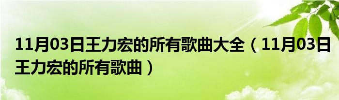 11月03日王力宏的所有歌曲大全（11月03日王力宏的所有歌曲）