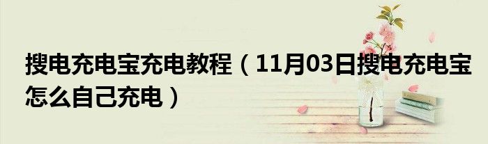 搜电充电宝充电教程（11月03日搜电充电宝怎么自己充电）