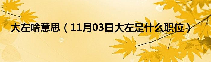 大左啥意思（11月03日大左是什么职位）