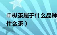 单枞茶属于什么品种（11月03日单枞茶属于什么茶）