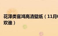 花泽类官鸿高清壁纸（11月03日流星花园花泽类官鸿到底喜欢谁）