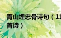青山埋忠骨诗句（11月03日青山有埋忠骨整首诗）