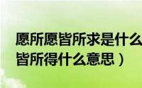 愿所愿皆所求是什么意思（11月03日愿所愿皆所得什么意思）