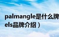 palmangle是什么牌子（11月03日palmangels品牌介绍）