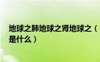 地球之肺地球之肾地球之（11月03日地球之肺,和地球之肾是什么）