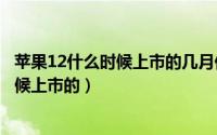 苹果12什么时候上市的几月份（10月08日苹果1代是什么时候上市的）