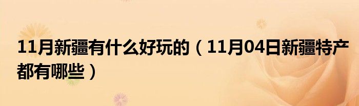 11月新疆有什么好玩的（11月04日新疆特产都有哪些）