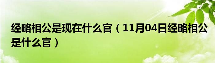 经略相公是现在什么官（11月04日经略相公是什么官）