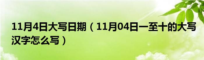 11月4日大写日期（11月04日一至十的大写汉字怎么写）