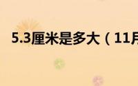 5.3厘米是多大（11月03日5cm厘米多大）