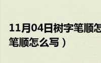 11月04日树字笔顺怎么写的（11月04日树字笔顺怎么写）