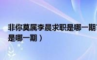 非你莫属李晨求职是哪一期?（11月04日非你莫属李晨求职是哪一期）
