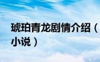 琥珀青龙剧情介绍（11月03日琥珀青龙原著小说）