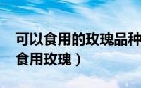 可以食用的玫瑰品种（11月04日世界三大可食用玫瑰）