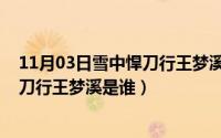 11月03日雪中悍刀行王梦溪是谁扮演的（11月03日雪中悍刀行王梦溪是谁）
