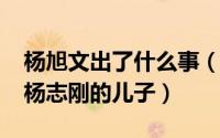 杨旭文出了什么事（11月03日杨旭文是不是杨志刚的儿子）