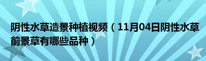 阴性水草造景种植视频（11月04日阴性水草前景草有哪些品种）