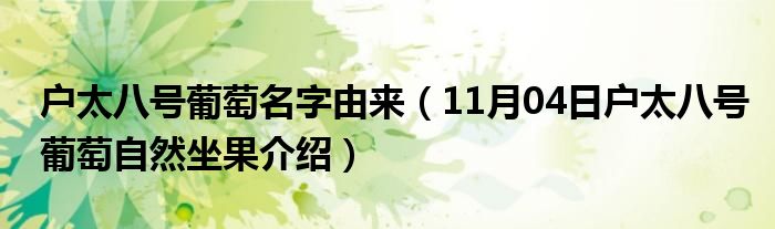 户太八号葡萄名字由来（11月04日户太八号葡萄自然坐果介绍）