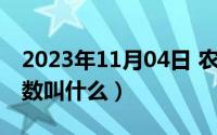 2023年11月04日 农历是（11月04日贫富系数叫什么）