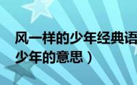 风一样的少年经典语录（11月04日风一样的少年的意思）