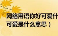 网络用语你好可爱什么意思（11月04日你好可爱是什么意思）