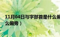 11月04日与字部首是什么偏旁呢（11月04日与字部首是什么偏旁）