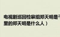 电视剧巡回检察组郑天明是干什么的（11月04日巡回检察组里的郑天明是什么人）