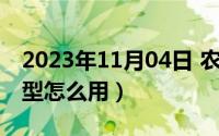2023年11月04日 农历是（11月04日iwill句型怎么用）
