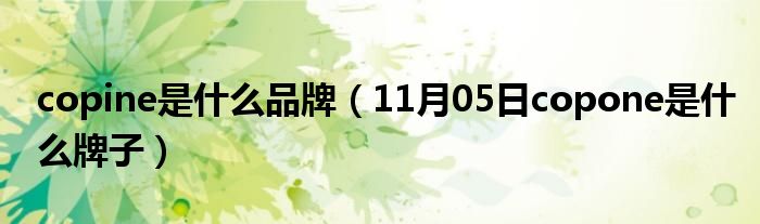 copine是什么品牌（11月05日copone是什么牌子）