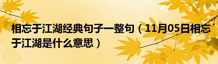 相忘于江湖经典句子一整句（11月05日相忘于江湖是什么意思）