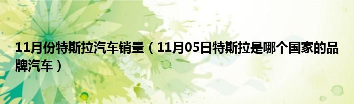 11月份特斯拉汽车销量（11月05日特斯拉是哪个国家的品牌汽车）