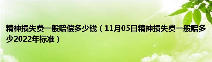 精神损失费一般赔偿多少钱（11月05日精神损失费一般赔多少2022年标准）