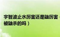 宇智波止水厉害还是鼬厉害（11月05日漫画版宇智波止水是被鼬杀的吗）