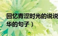 回忆青涩时光的说说（11月05日回忆青涩年华的句子）