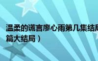 温柔的谎言廖心雨第几集结局（11月05日温柔的诱惑廖心雨篇大结局）