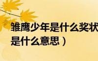雏鹰少年是什么奖状（11月04日雏鹰少年奖是什么意思）