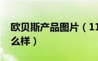 欧贝斯产品图片（11月04日欧贝斯的产品怎么样）