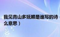 我见青山多妩媚是谁写的诗（10月08日我见青山多妩媚是什么意思）