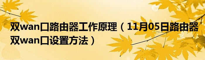 双wan口路由器工作原理（11月05日路由器双wan口设置方法）