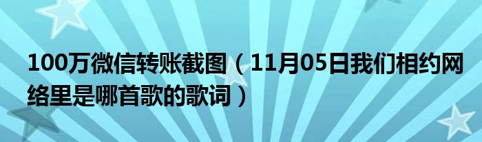 100万微信转账截图（11月05日我们相约网络里是哪首歌的歌词）