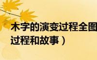 木字的演变过程全图（11月05日木字的演变过程和故事）