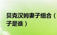 贝克汉姆妻子组合（11月05日贝克汉姆的妻子是谁）
