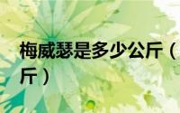 梅威瑟是多少公斤（11月05日梅威瑟多少公斤）