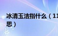 冰清玉洁指什么（11月05日冰清玉洁什么意思）